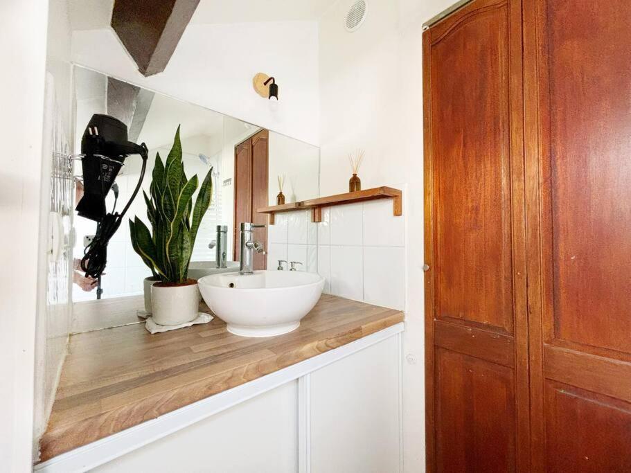 Somptueux Duplex Proche Rer